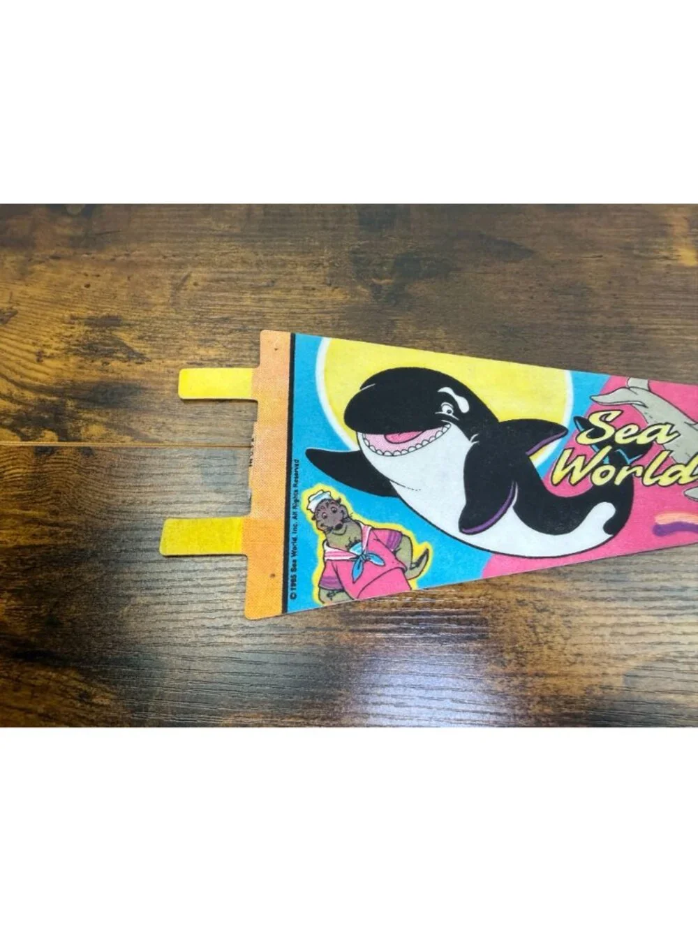 Seaworld park colorful